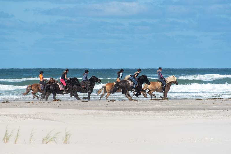Strandurlaub Callantsoog LekkerNaarZee